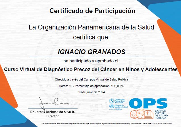 Ampliar imagen: certificate 11