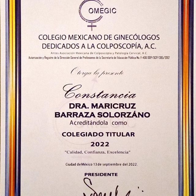 Ampliar imagen: certificate 9