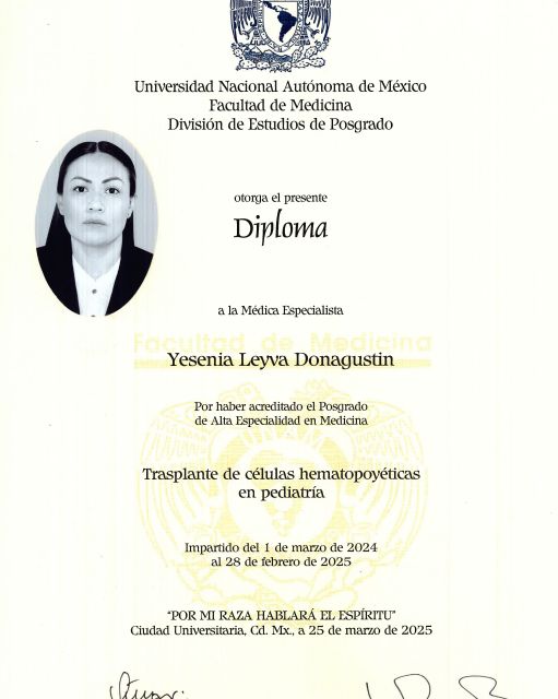 Ampliar imagen: certificate 6
