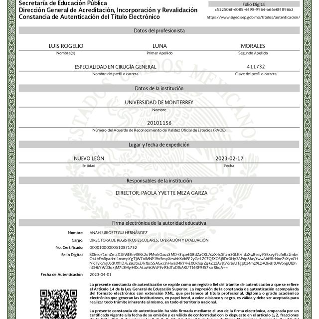 Ampliar imagen: certificate 2