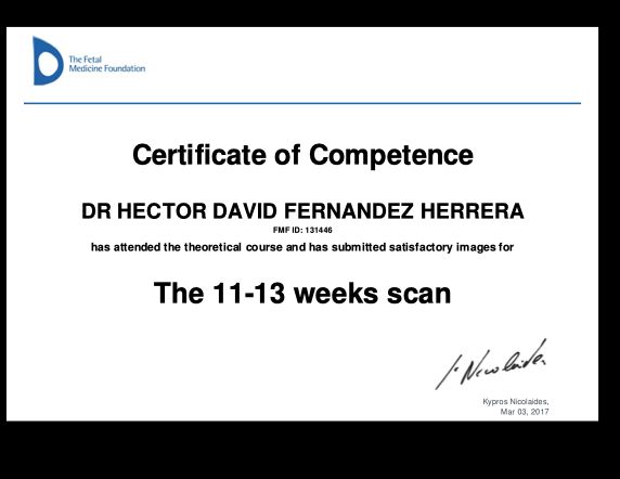 Ampliar imagen: certificate 4