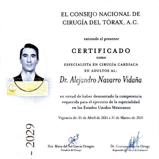Ampliar imagen: certificate 2