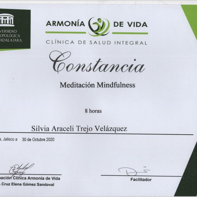 Ampliar imagen: certificate 10