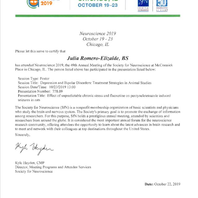 Ampliar imagen: certificate 9