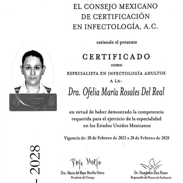 Ampliar imagen: certificate 2