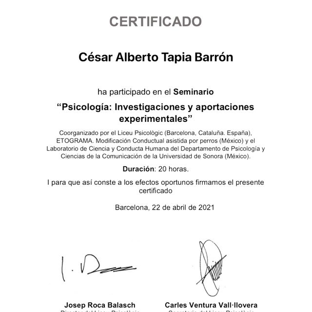 Ampliar imagen: certificate 7