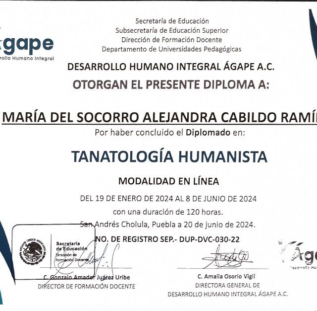 Ampliar imagen: certificate 6