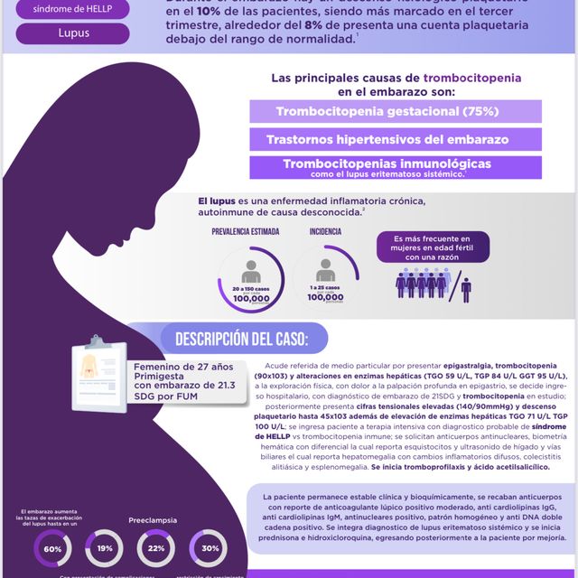 Ampliar imagen: certificate 11