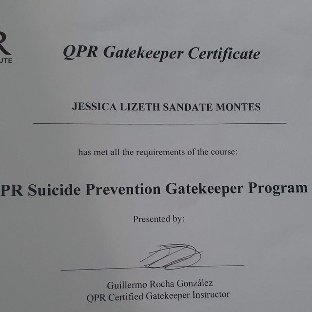 Ampliar imagen: certificate 1