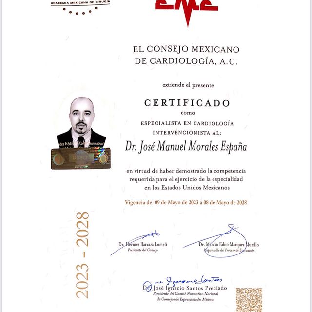 Ampliar imagen: certificate 7