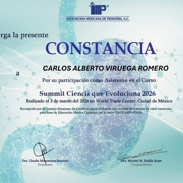 Ampliar imagen: certificate 2