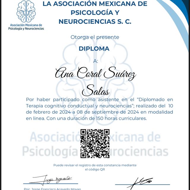 Ampliar imagen: certificate 3
