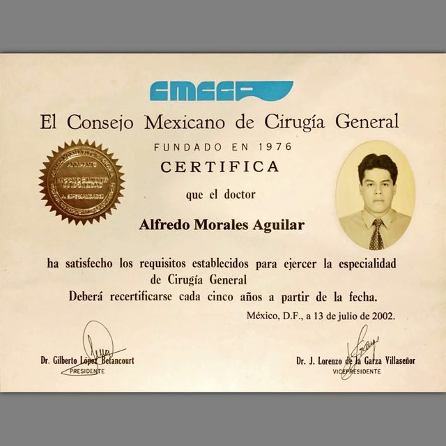 Ampliar imagen: certificate 1