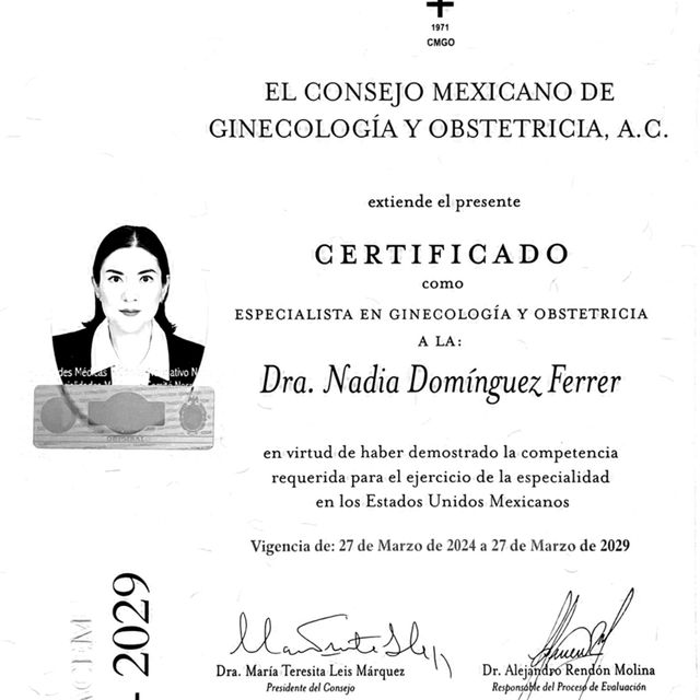 Ampliar imagen: certificate 7