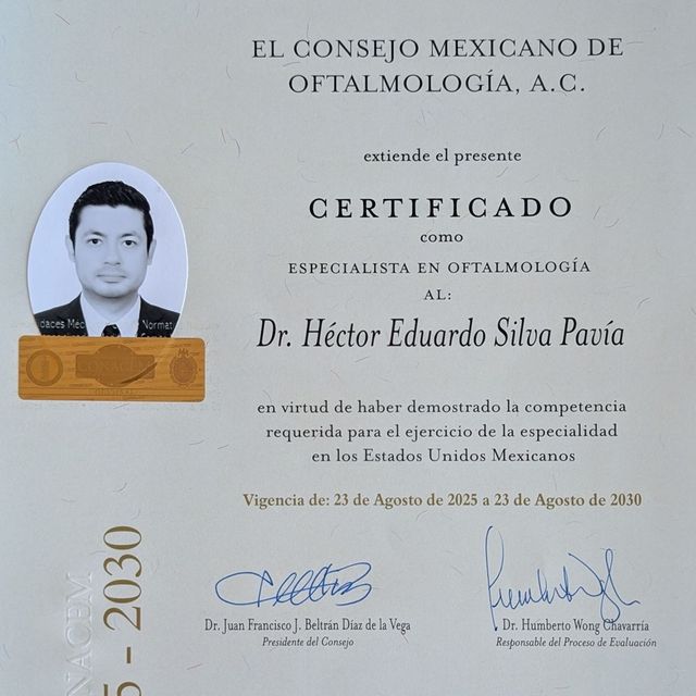 Ampliar imagen: certificate 1
