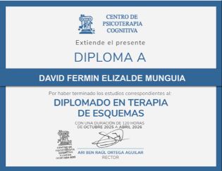 Ampliar imagen: certificate 4