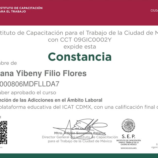Ampliar imagen: certificate 8