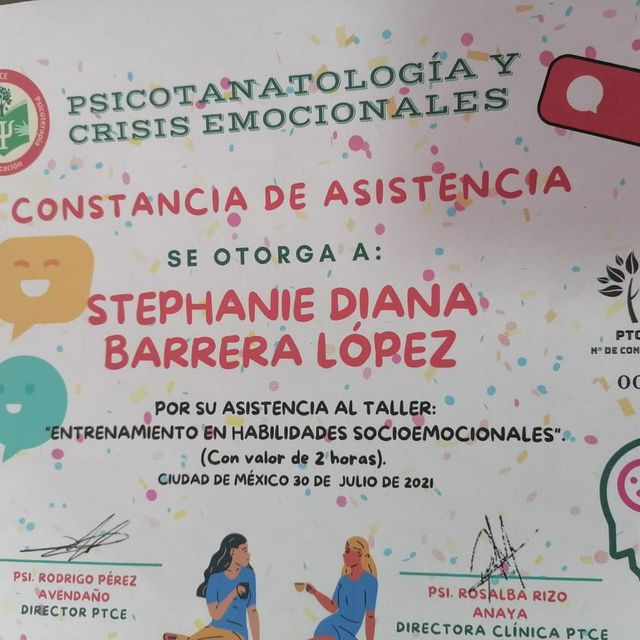 Ampliar imagen: certificate 9