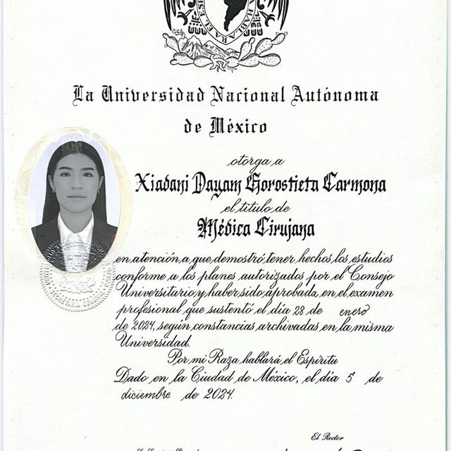 Ampliar imagen: certificate 2