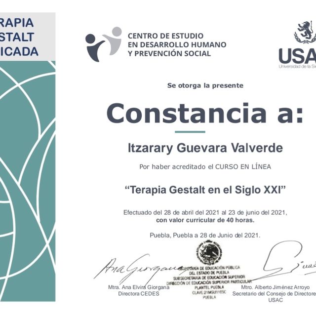 Ampliar imagen: certificate 3