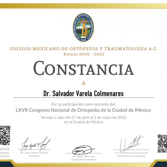 Ampliar imagen: certificate 31