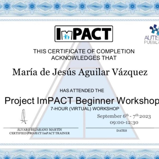 Ampliar imagen: certificate 9