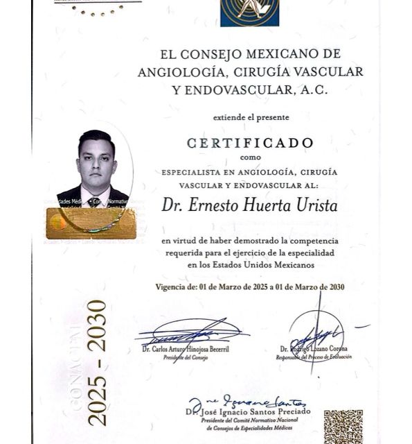 Ampliar imagen: certificate 2
