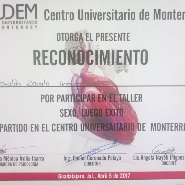 Ampliar imagen: certificate 8