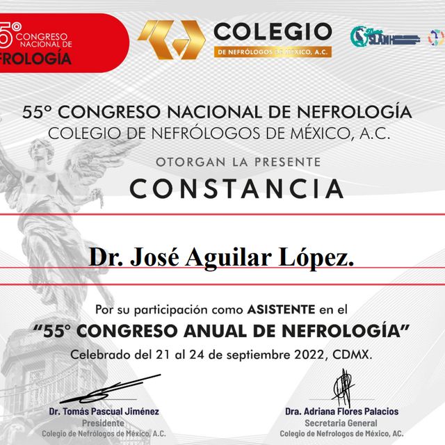 Ampliar imagen: certificate 3