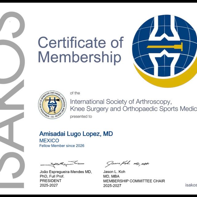 Ampliar imagen: certificate 2