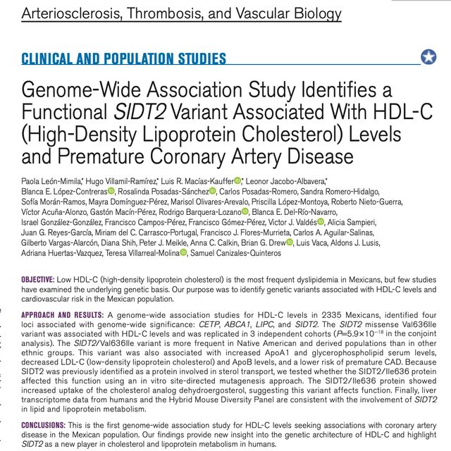 Ampliar imagen: certificate 20