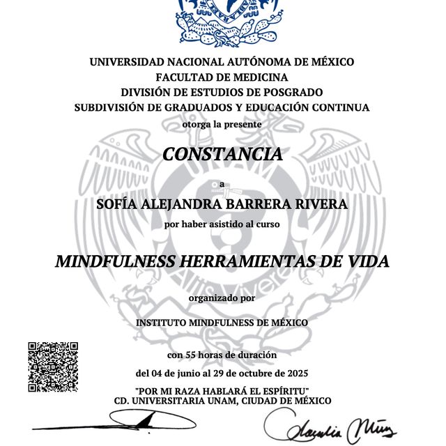 Ampliar imagen: certificate 6