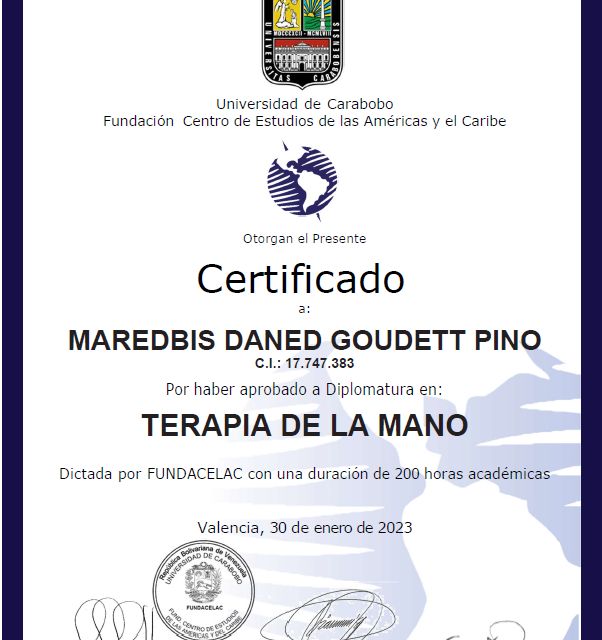 Ampliar imagen: certificate 1