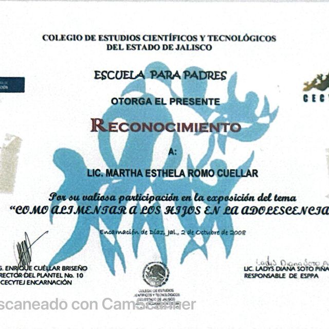 Ampliar imagen: certificate 19