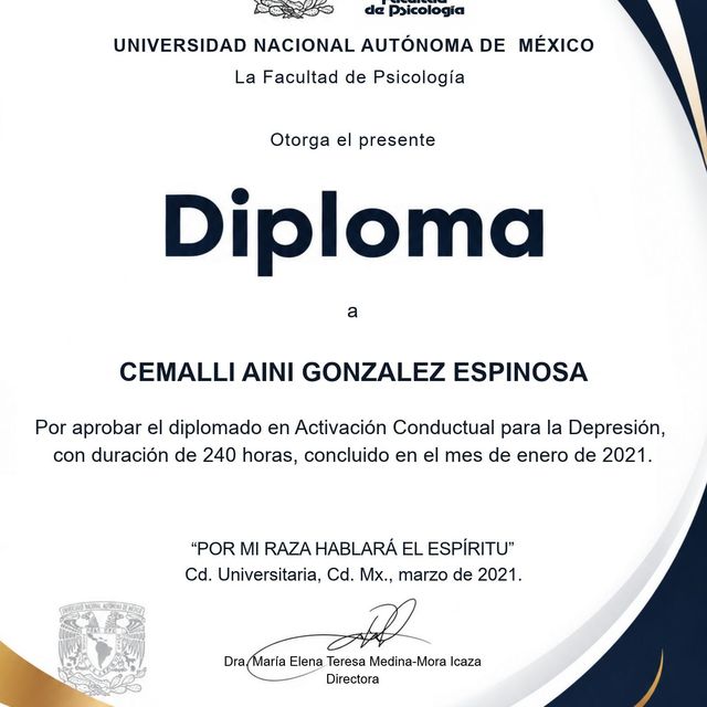 Ampliar imagen: certificate 2