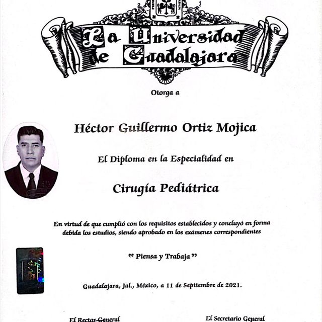 Ampliar imagen: certificate 3