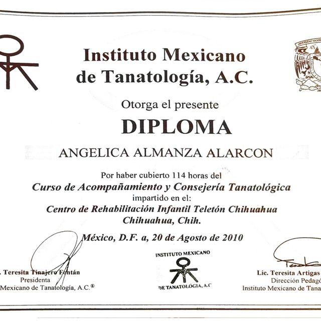 Ampliar imagen: certificate 10