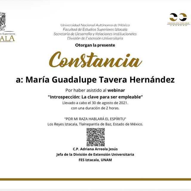 Ampliar imagen: certificate 49