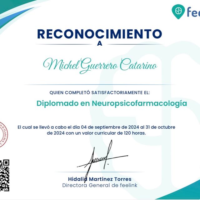 Ampliar imagen: certificate 3