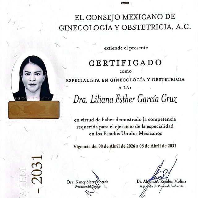 Ampliar imagen: certificate 7