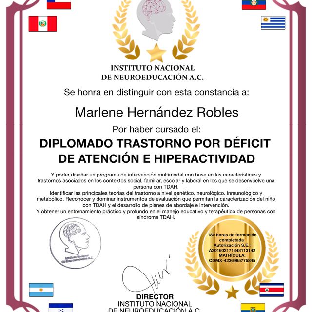 Ampliar imagen: certificate 16
