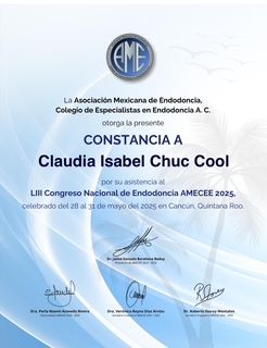 Ampliar imagen: certificate 3