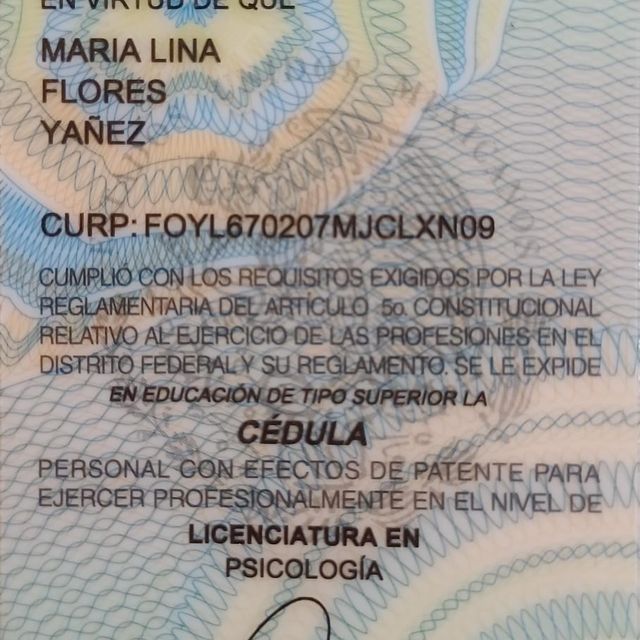 Ampliar imagen: certificate 2