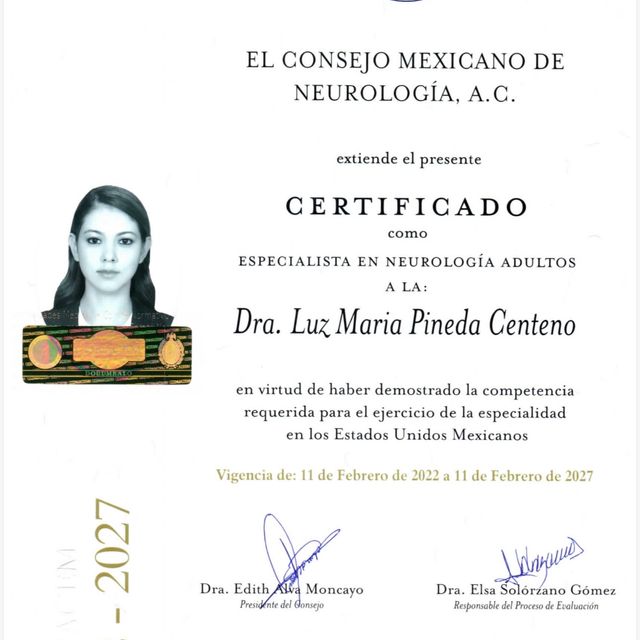 Ampliar imagen: certificate 3