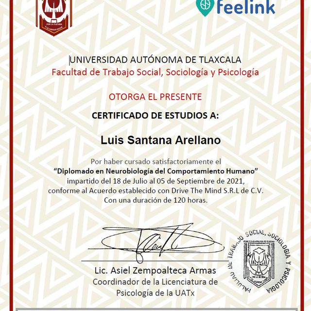 Ampliar imagen: certificate 9