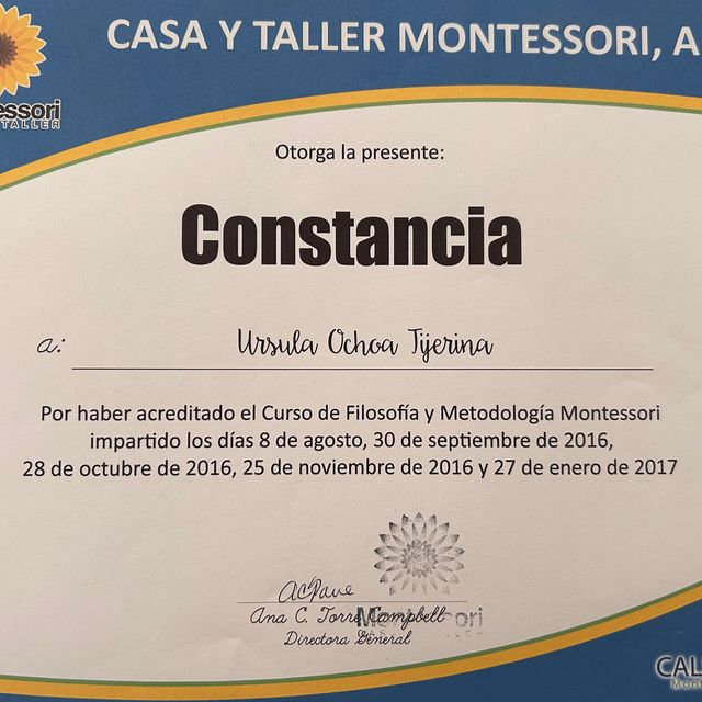 Ampliar imagen: certificate 1