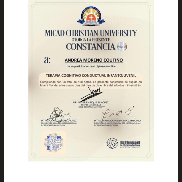 Ampliar imagen: certificate 10