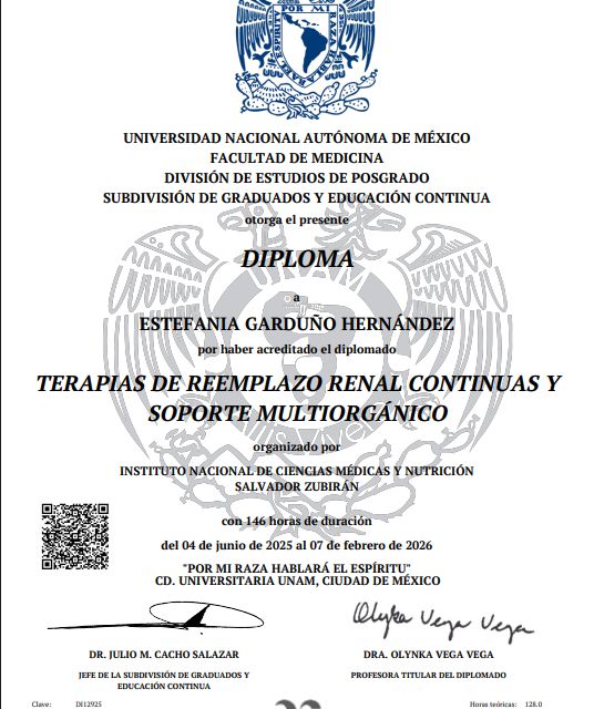 Ampliar imagen: certificate 3