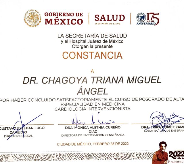 Ampliar imagen: certificate 5