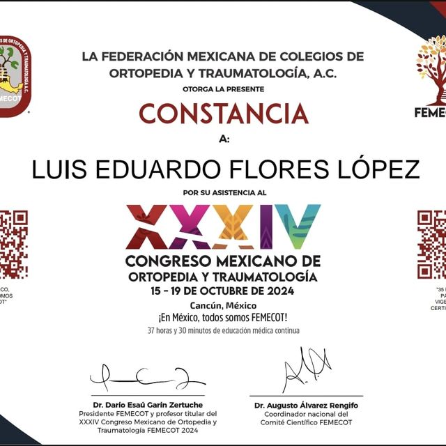 Ampliar imagen: certificate 3